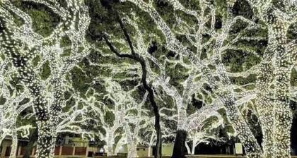 Farmhouse Vineyards "Vagabonds" on Pecan Street, Relaxed Ranch House Glam 4 All