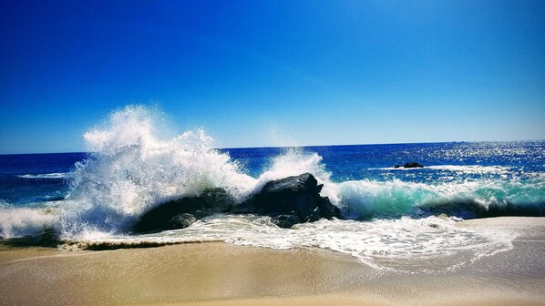 Playa en los alrededores, camastros y toallas de playa 