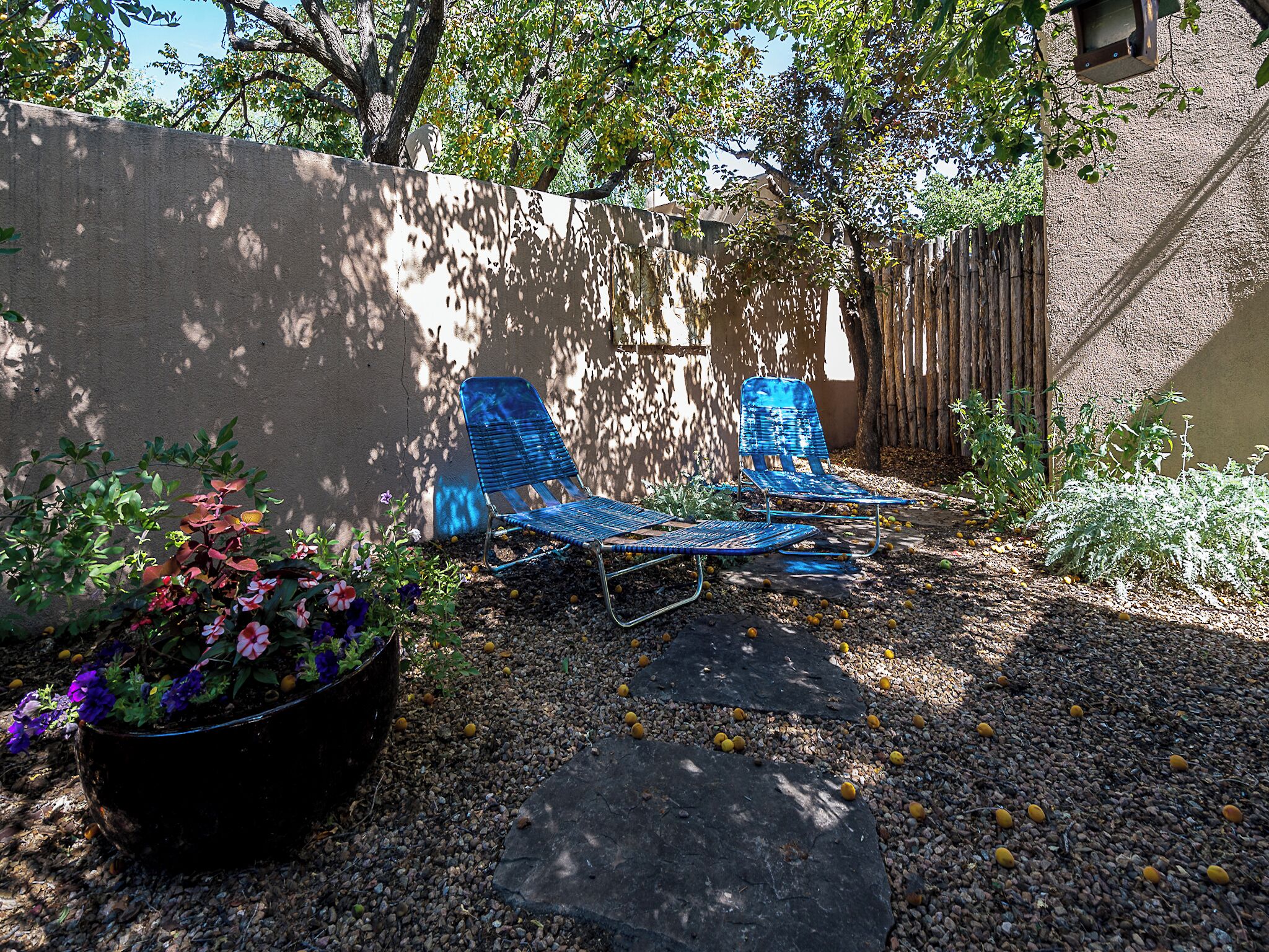 Un patio con dos sillones azules, una jardinera negra con flores moradas y un sendero de concreto.