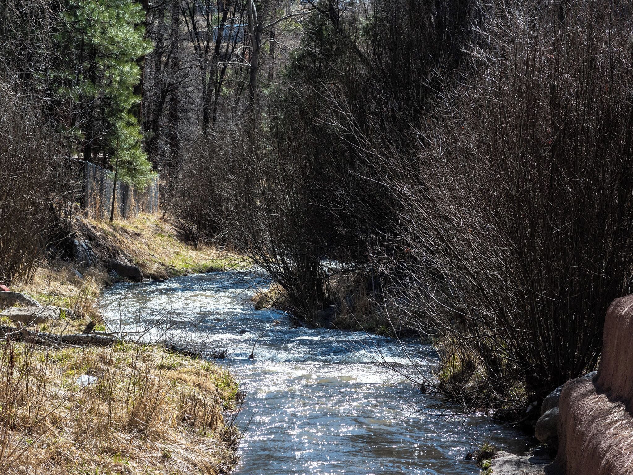 A river flowing through a forested area with rocky terrain and sparse vegetation.