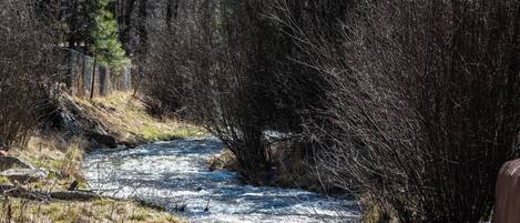 A river flowing through a forested area with rocky terrain and sparse vegetation.