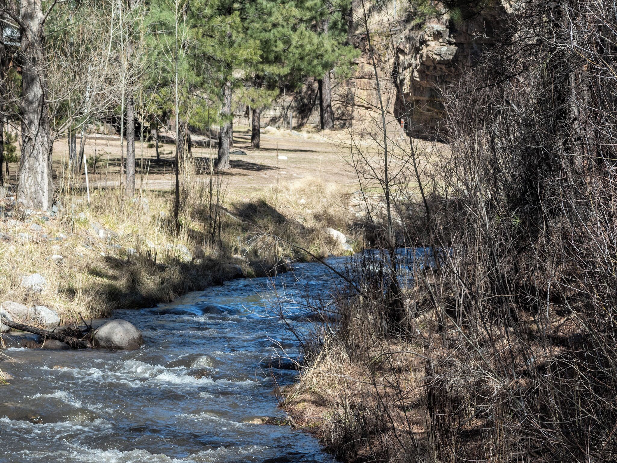 A river flowing through a rocky canyon with sparse vegetation and trees.