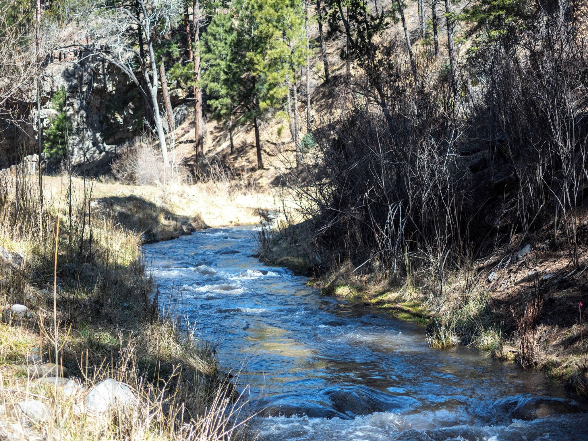 Une rivière qui traverse une zone boisée, caractérisée par un terrain rocheux et une végétation clairsemée.