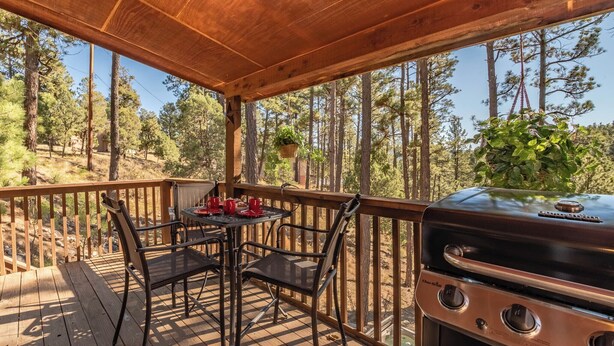 A covered outdoor area with a grill, a table with chairs, and a view of a forest.