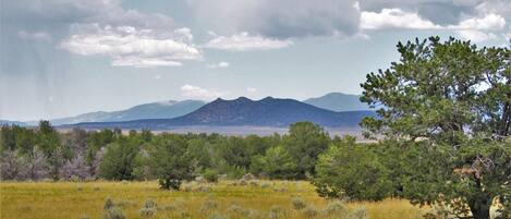 A natural landscape with a mountain in the background, a clear sky, and a variety of trees and shrubs in the foreground.