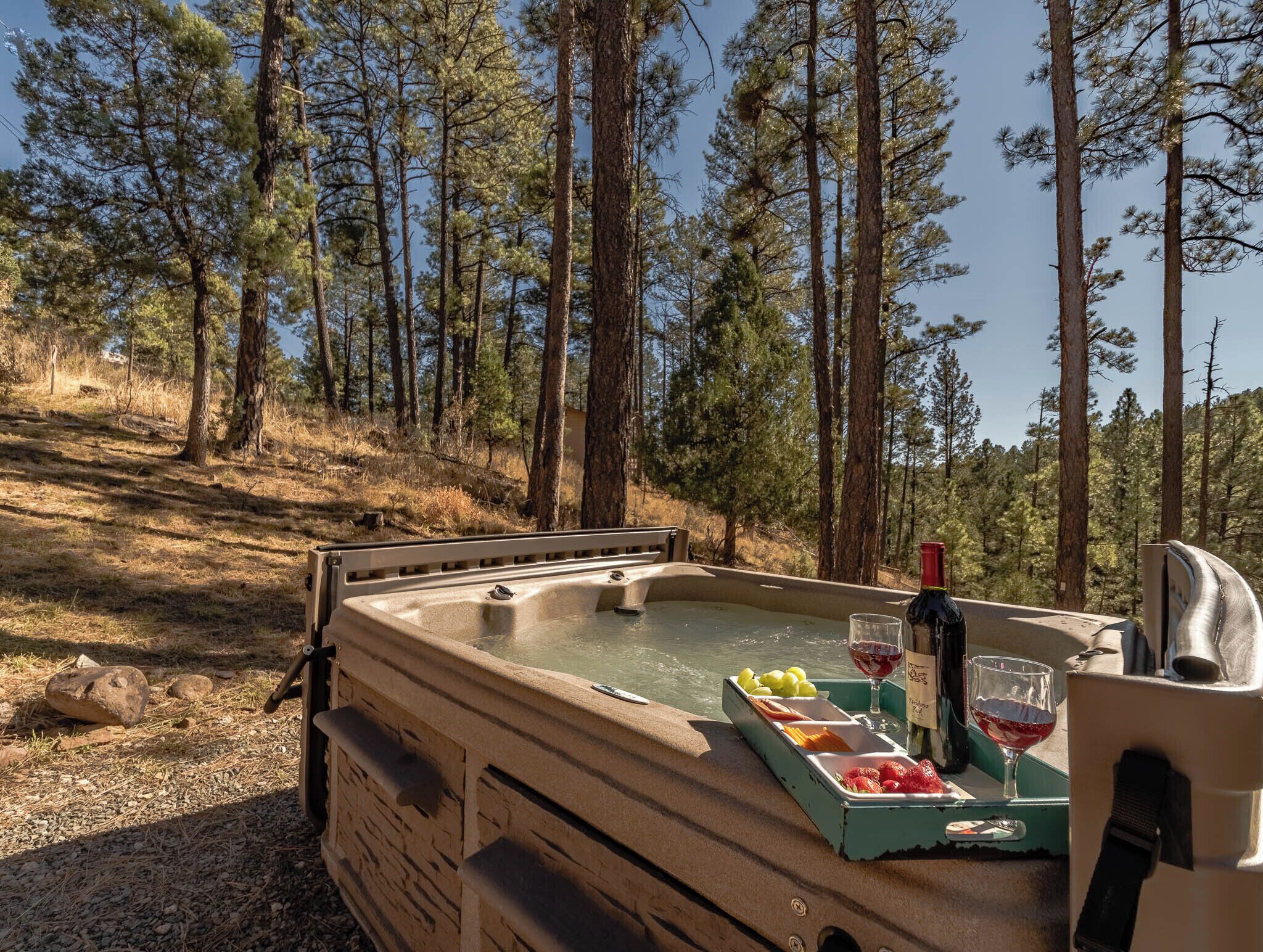 Un bain à remous situé dans un endroit boisé, avec un plateau de fruits et une bouteille de vin.