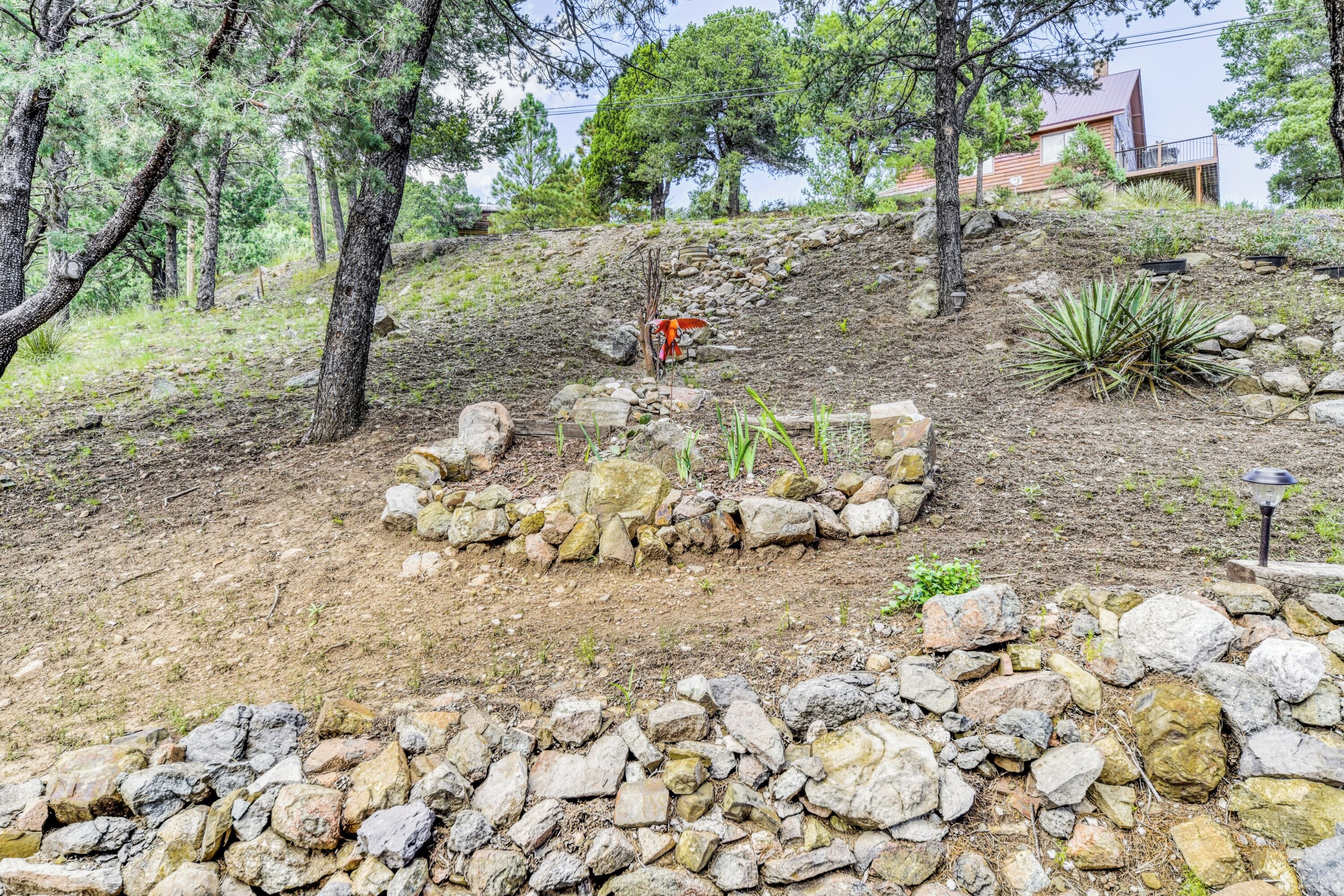 A rocky outdoor area with a small garden and a building in the background.