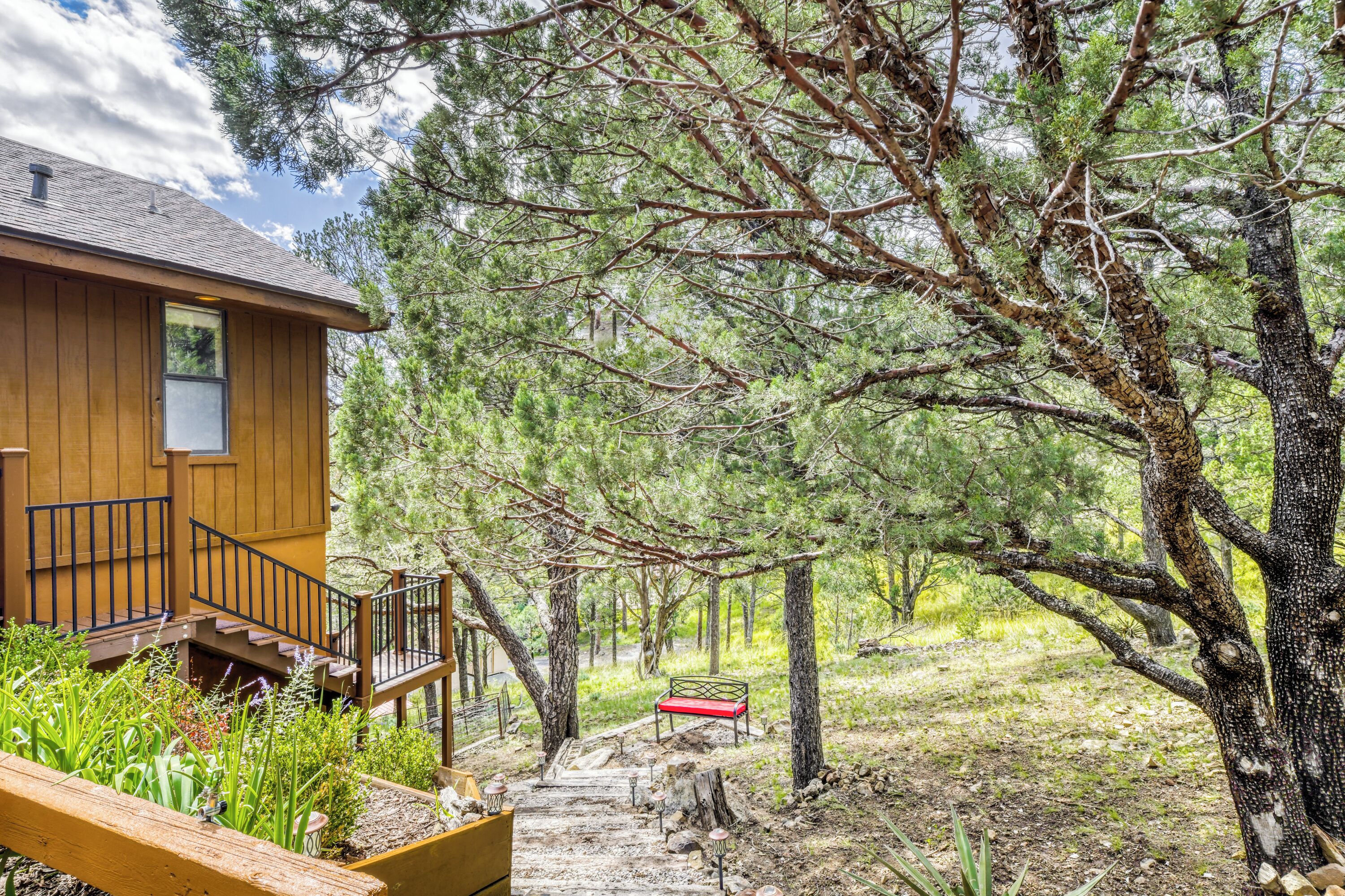 Une cabane en bois avec un escalier menant à une terrasse, entourée d’arbres et agrémentée d’un banc.