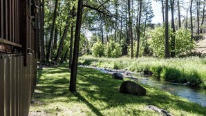 Una cabaña rústica con vistas a un arroyo y bosque circundante.