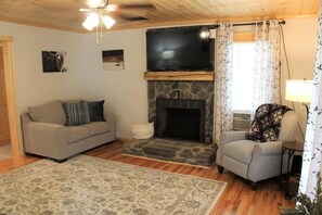 Smart TV, fireplace, DVD player, books