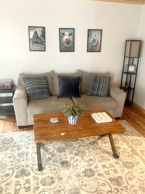 Smart TV, fireplace, DVD player, books