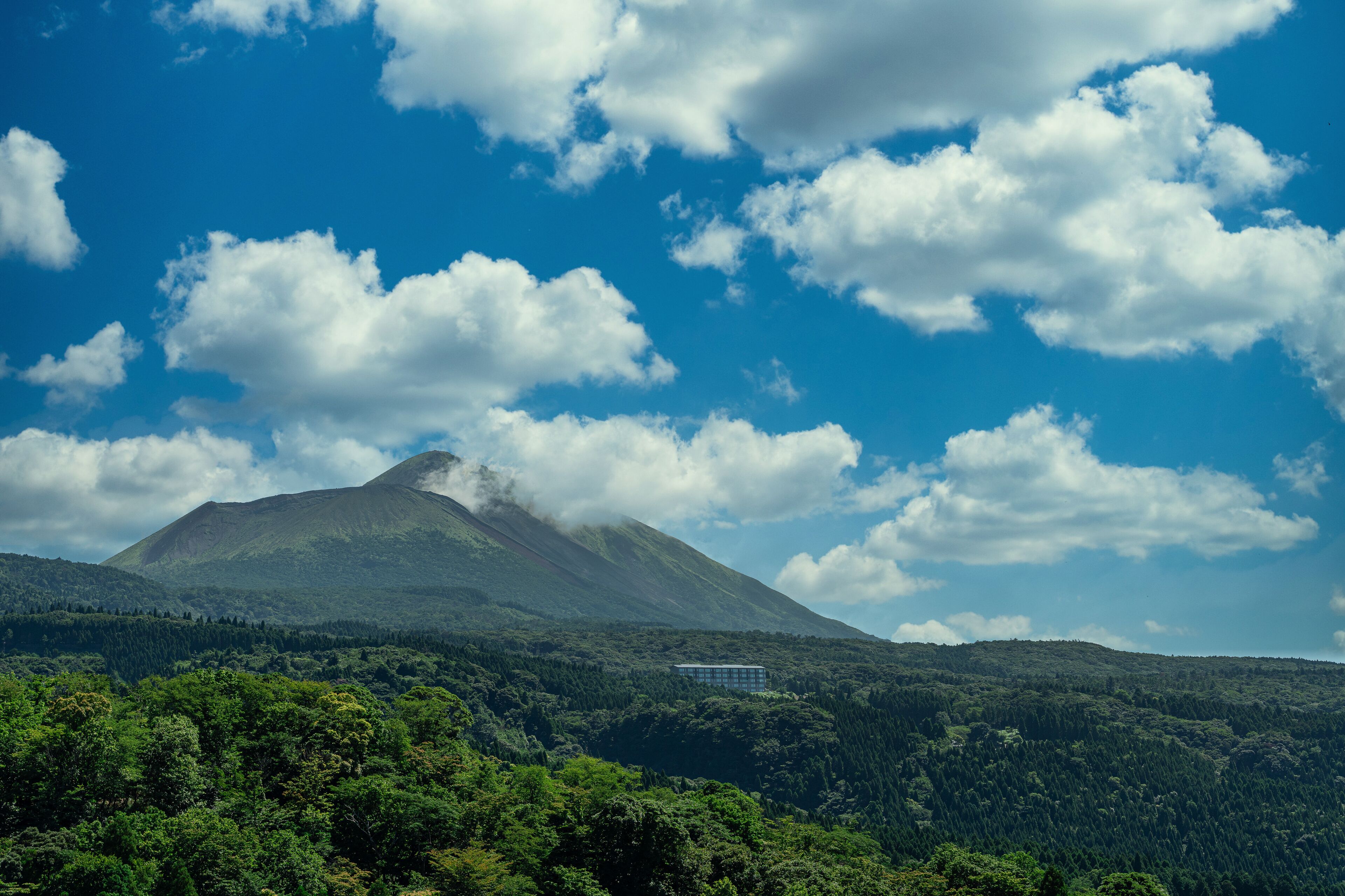 A mountain with a cabin in a forested area.