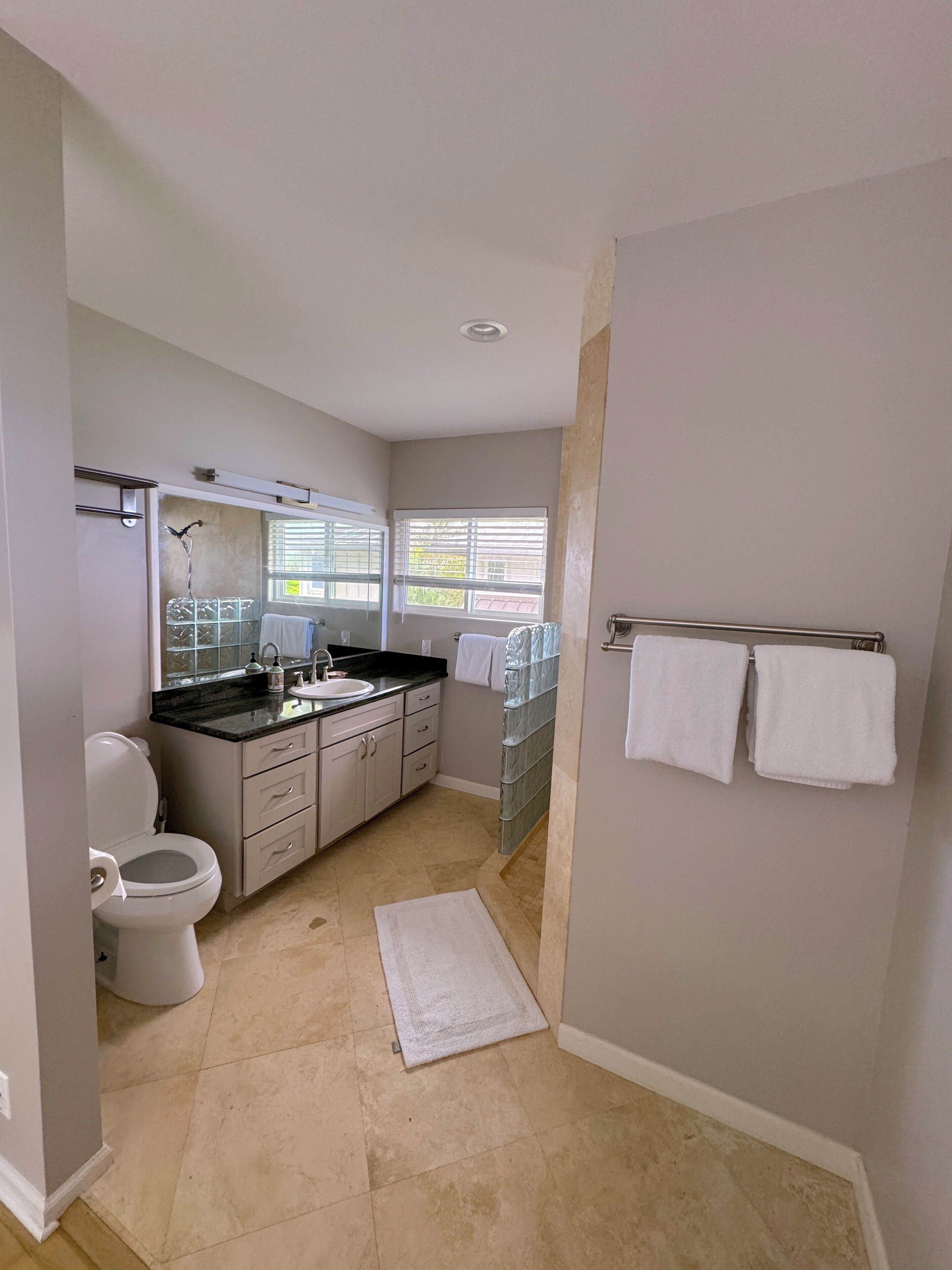 Combined shower/tub, hair dryer, bidet, towels