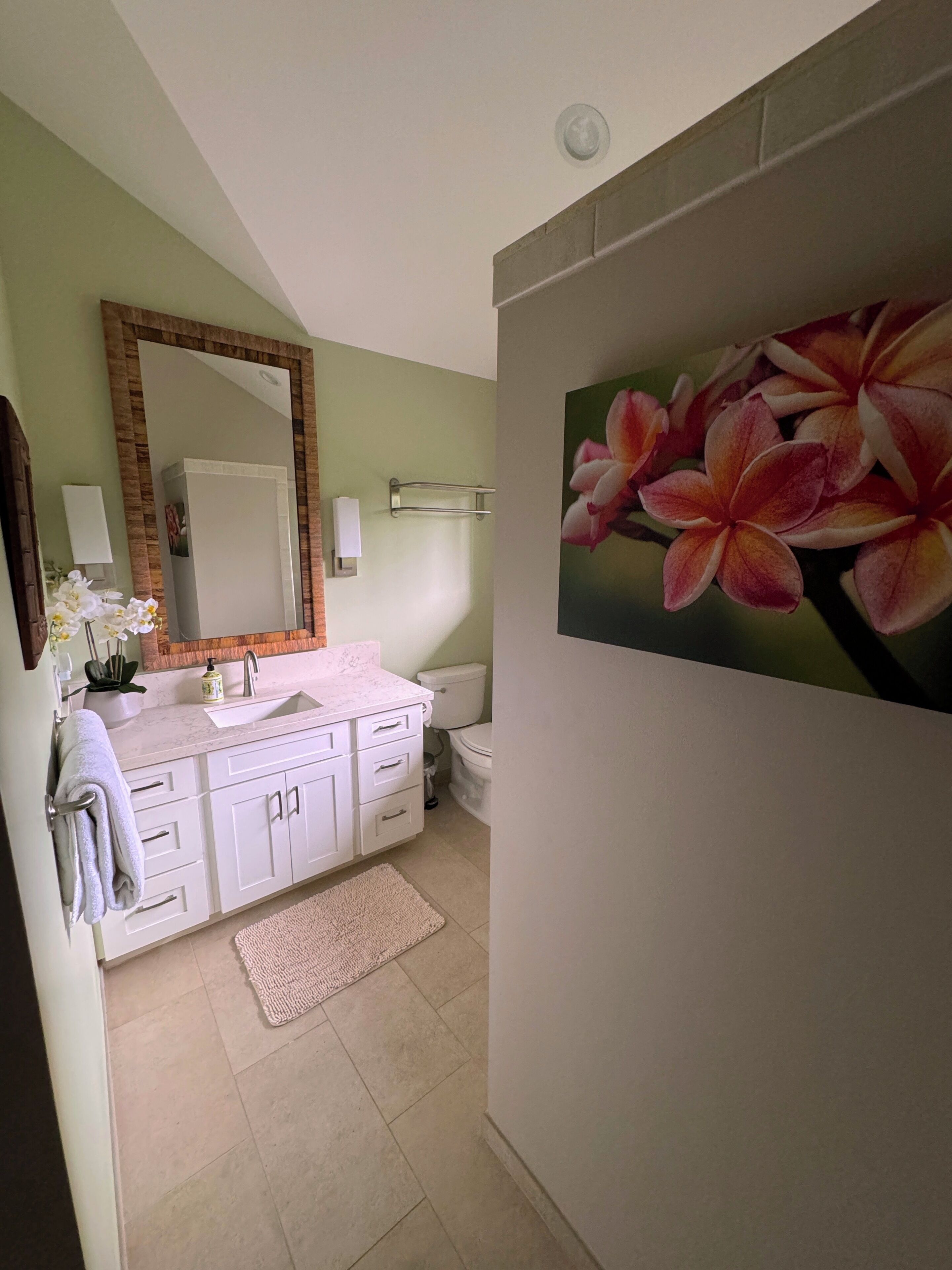 Combined shower/tub, hair dryer, bidet, towels