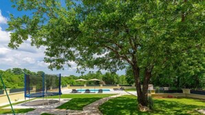 A backyard with a trampoline, a swimming pool, and a tree. - Villa Aniva by Interhome (Rovinj/Žminj)