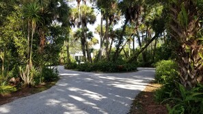 Terrain de l’hébergement 