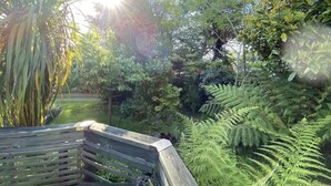 Un banco de madera en un jardín exuberante con diversas plantas y árboles verdes.