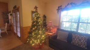 Smart TV, fireplace, DVD player