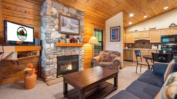 TV connectée, cheminée, lecteur de DVD