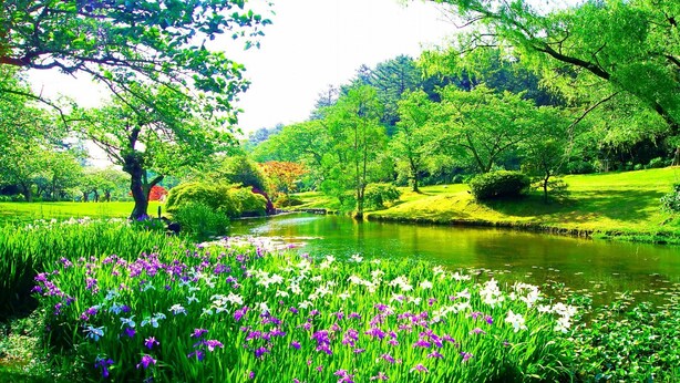 Un parque tranquilo con un estanque, abundante vegetación y flores florecientes.