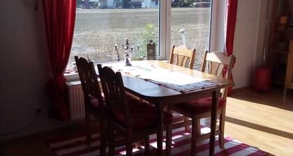 FEWO Fabricio in the house Leticia