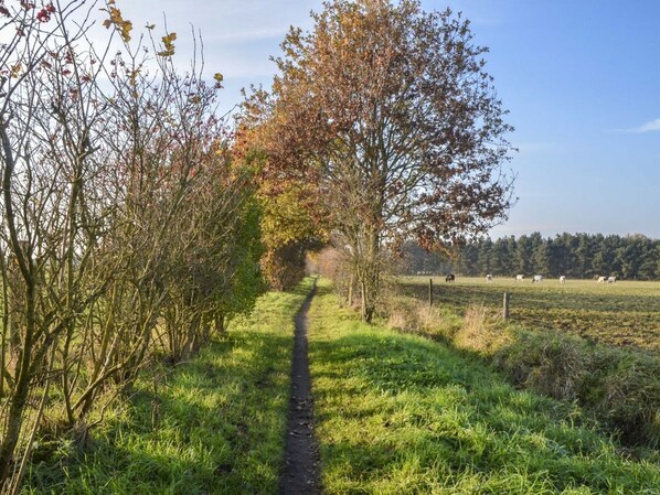 Exterior - Quaint Holiday Home in Putten With Garden (Putten)