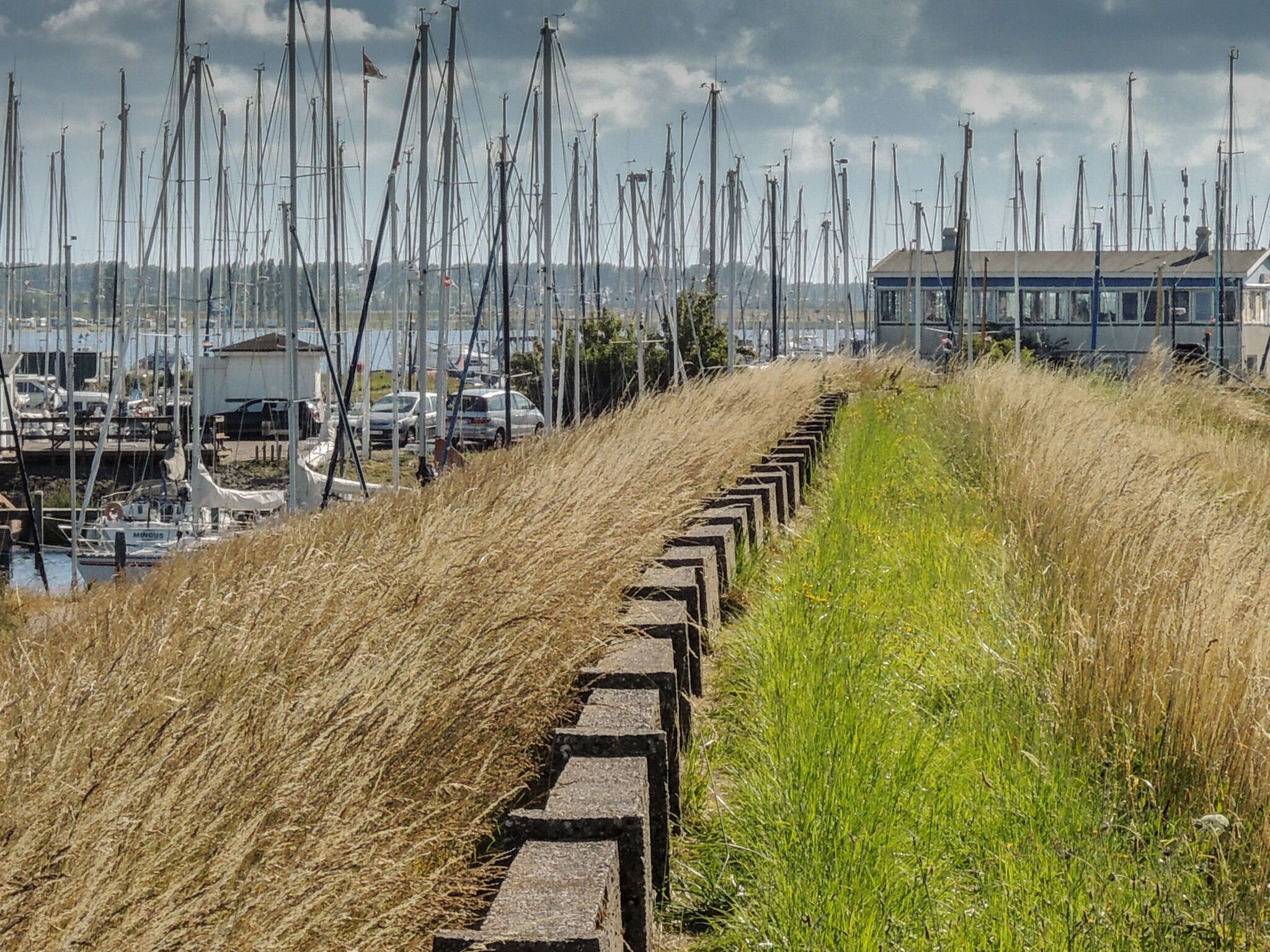 A marina with numerous sailboats docked, a grassy embankment, and a building in the background.