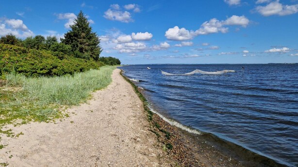 A coastal path with a sandy trail leading to the water, surrounded by greenery and a clear sky. - 8 Person Holiday Home in Hojslev (Hojslev)