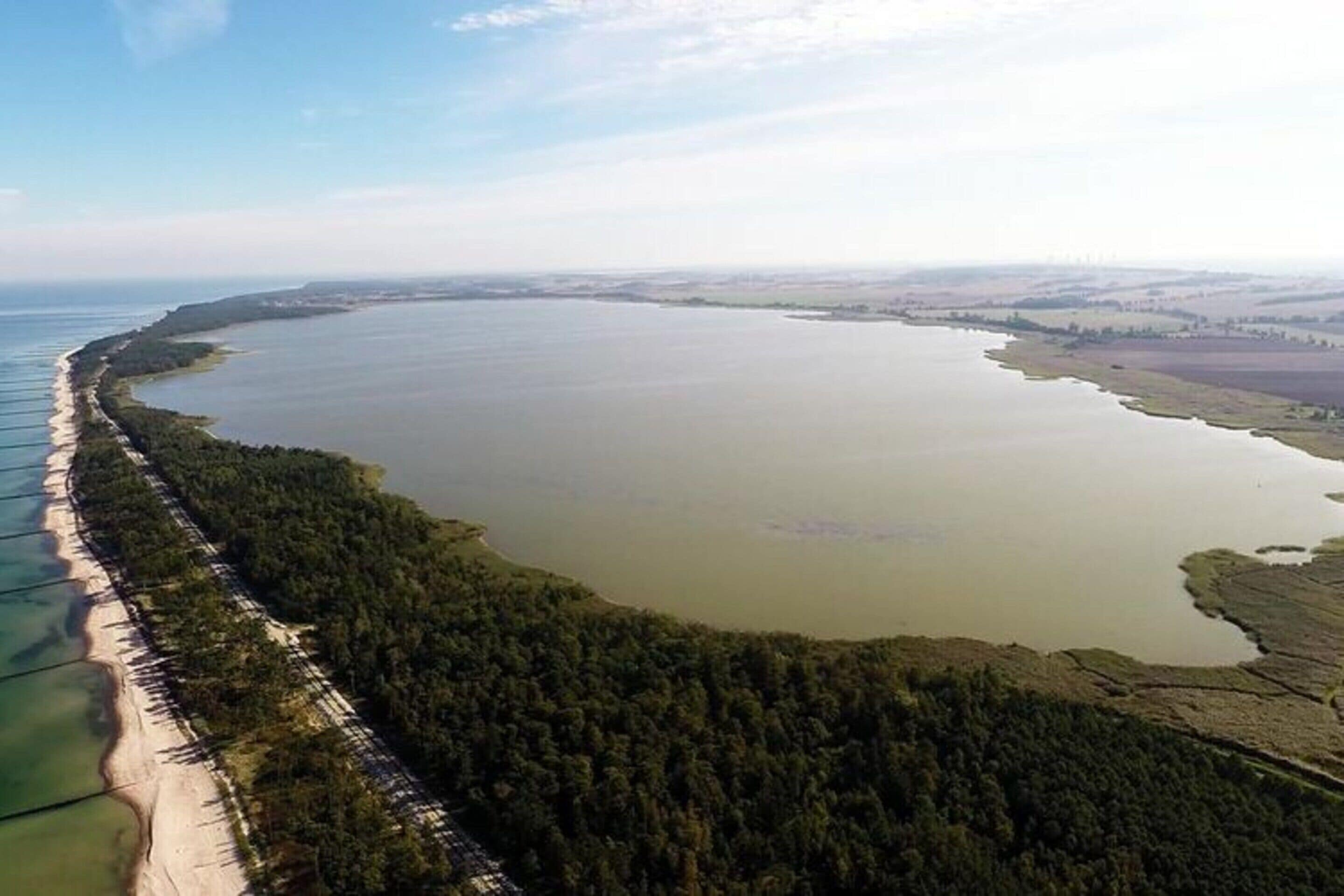 An aerial view of a coastal area with a long sandy beach and dense forested land.