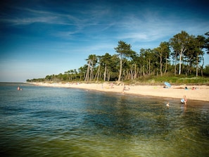A beach with clear water, trees, and a sandy shore. - Cozy Studio 3 at the Seaside Agrotourism (Darlowo)