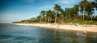 Cozy Studio 3 at the Seaside Agrotourism