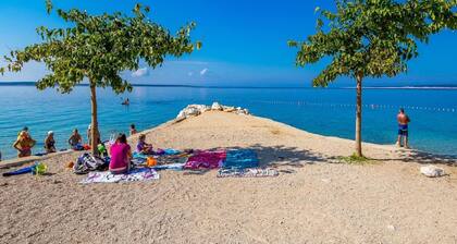 Apartment in Mandre Near Adriatic Beaches