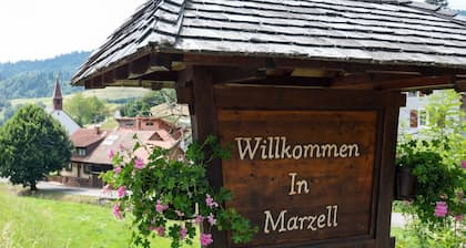Apartment in Malsburg With Garden