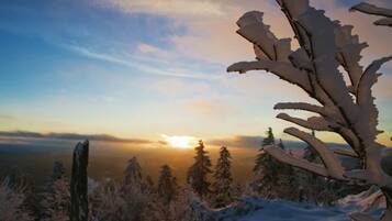 A snowy landscape with a sunrise or sunset, trees, and a clear sky.