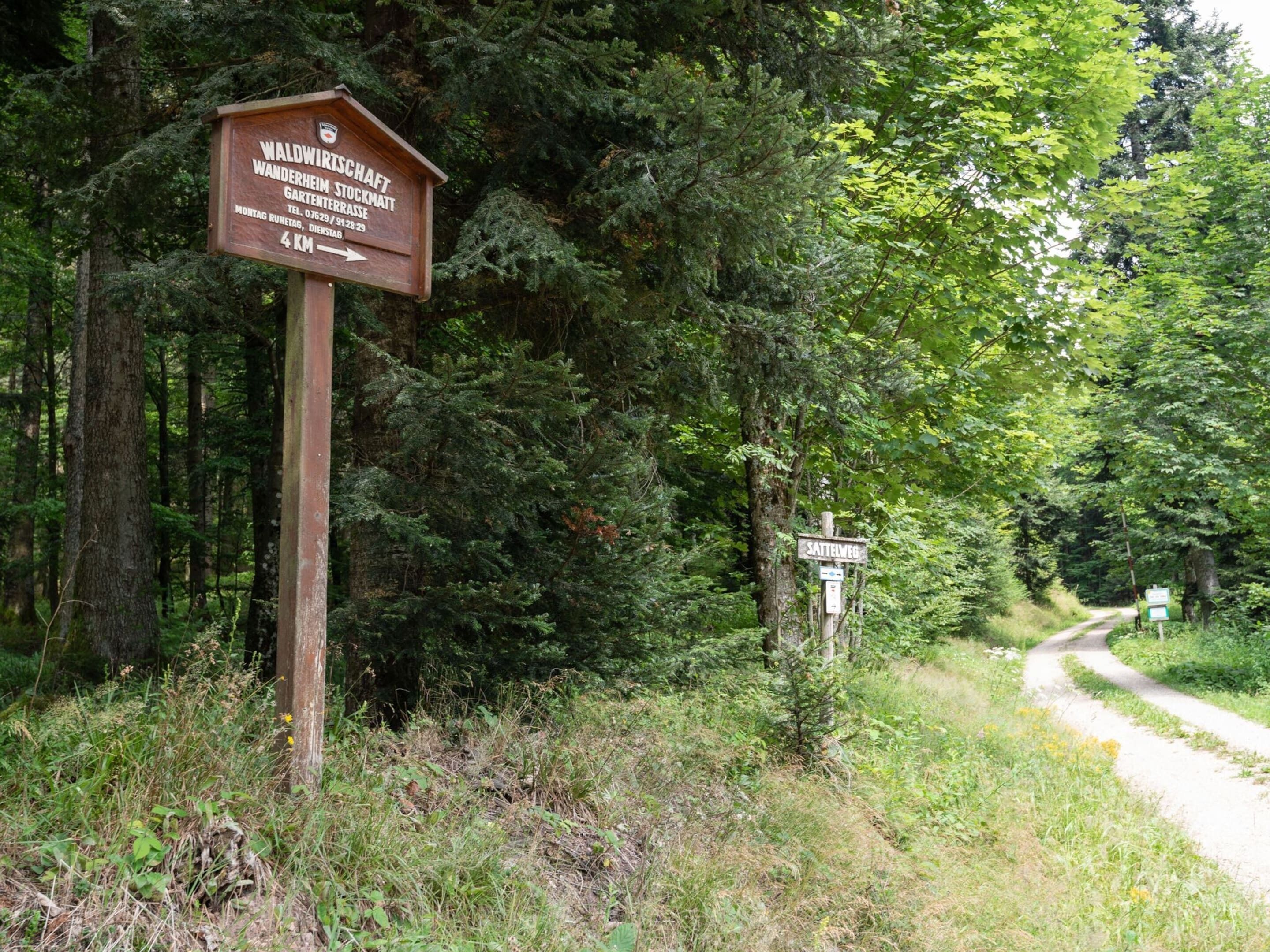 A wooden signpost in a forested area with a path leading through.