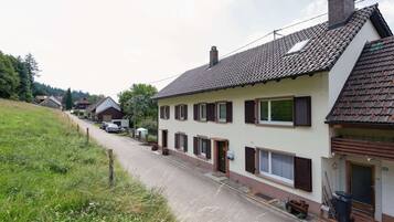 A row of houses with a paved road in between, surrounded by greenery.