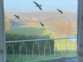 Vista desde la propiedad