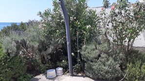 A garden area with various plants and shrubs, a hose, and two containers on the ground.