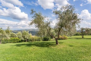 Garden - Tuscan Cottage With 2 Pools (Barberino Tavarnelle)