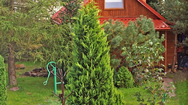 Property grounds - Charming Cottage - Fireplace, Terrace, Garden, Close to the Sea and the Lake (Choczewo)