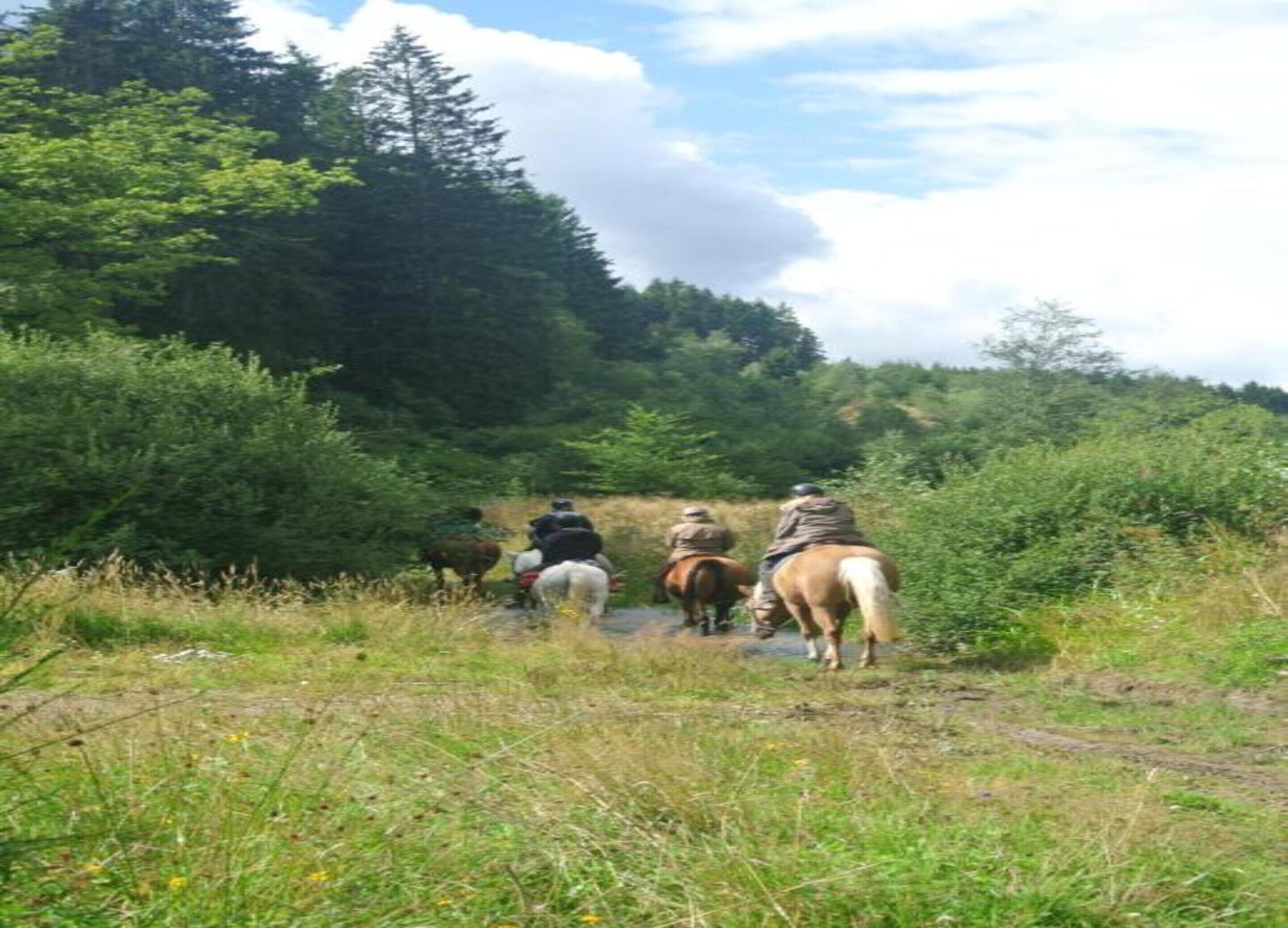 Pemandangan dari hartanah
