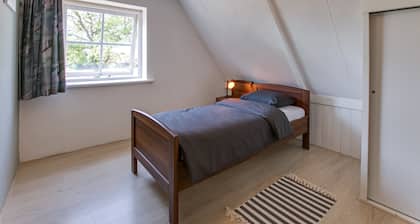 Holiday Home in Langezwaag With Terrace