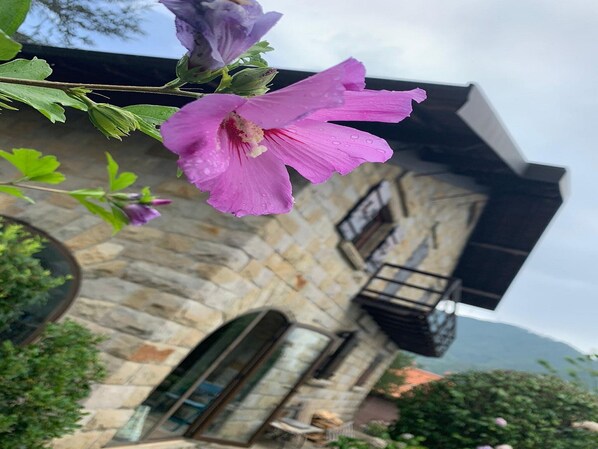 Property grounds - Alluring Villa in Cagli With Garden (Sanremo)