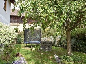 Un jardin avec un trampoline, un arbre et un chat.
