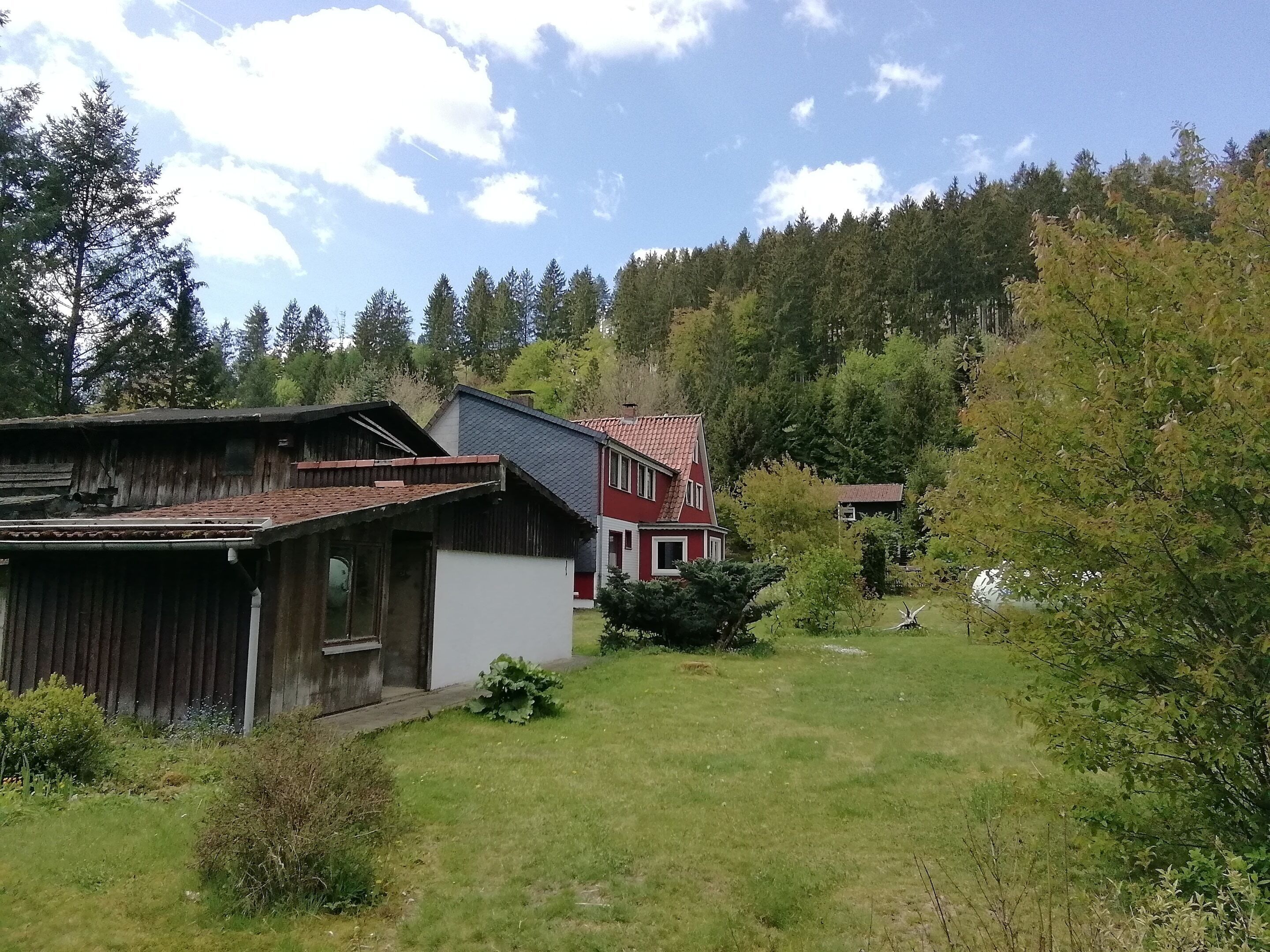 A rural house with a red roof and a white exterior, surrounded by a grassy yard and dense forest.