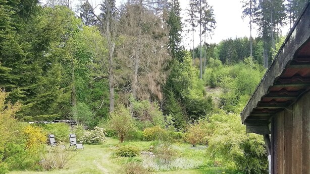 A garden with a path leading to a wooden cabin. - Charmante Harzer Doppelhaushalfte (Osterode am Harz)