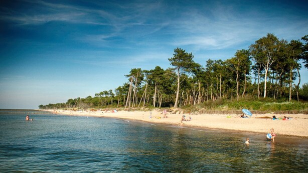 A beach with clear water, trees, and people. - Cottage in Cisowo Near Baltic Coast Beach (Darlowo)