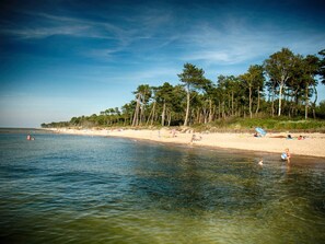 A beach with clear water, trees, and people.