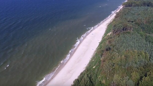 Vista aérea de uma praia com área arborizada adjacente à orla.