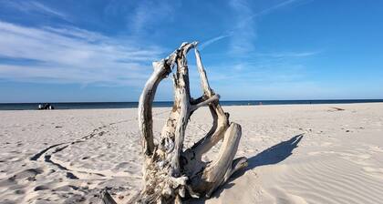 Fantastic House, Located Among Meadows and Nature, Near the Sea